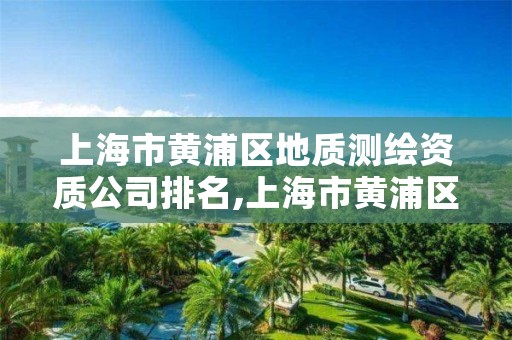 上海市黄浦区地质测绘资质公司排名,上海市黄浦区地质测绘资质公司排名第几