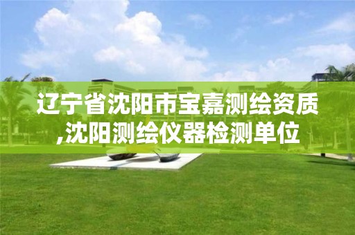 辽宁省沈阳市宝嘉测绘资质,沈阳测绘仪器检测单位