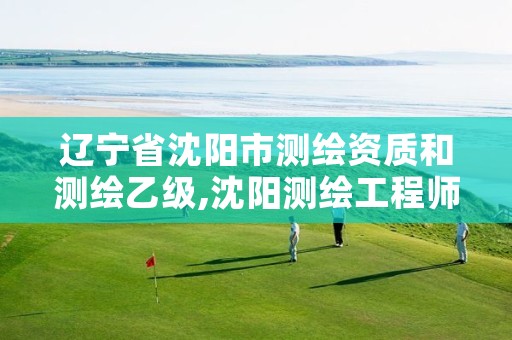 辽宁省沈阳市测绘资质和测绘乙级,沈阳测绘工程师招聘