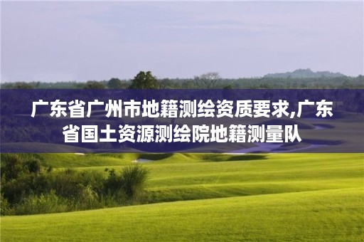 广东省广州市地籍测绘资质要求,广东省国土资源测绘院地籍测量队