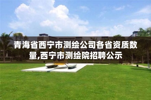 青海省西宁市测绘公司各省资质数量,西宁市测绘院招聘公示