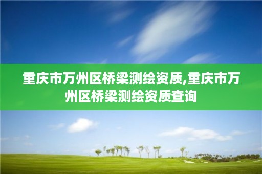重庆市万州区桥梁测绘资质,重庆市万州区桥梁测绘资质查询