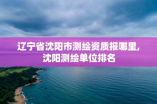 辽宁省沈阳市测绘资质报哪里,沈阳测绘单位排名