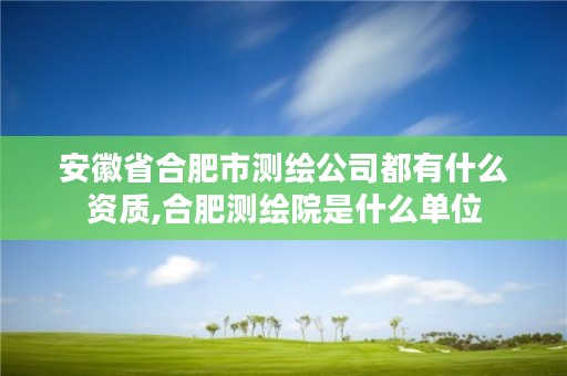 安徽省合肥市测绘公司都有什么资质,合肥测绘院是什么单位