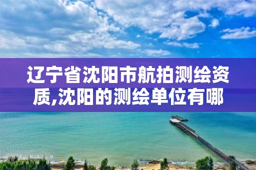 辽宁省沈阳市航拍测绘资质,沈阳的测绘单位有哪些