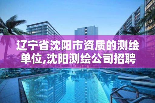 辽宁省沈阳市资质的测绘单位,沈阳测绘公司招聘信息最新招聘