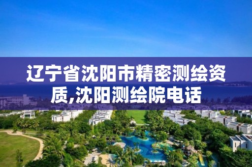 辽宁省沈阳市精密测绘资质,沈阳测绘院电话