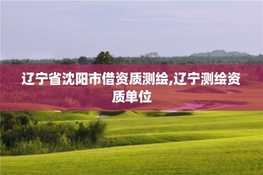 辽宁省沈阳市借资质测绘,辽宁测绘资质单位