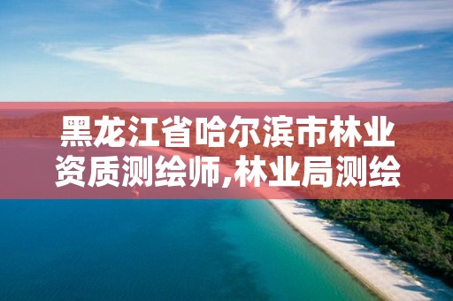 黑龙江省哈尔滨市林业资质测绘师,林业局测绘