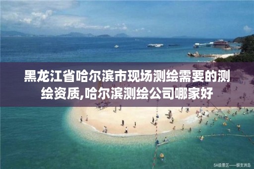 黑龙江省哈尔滨市现场测绘需要的测绘资质,哈尔滨测绘公司哪家好
