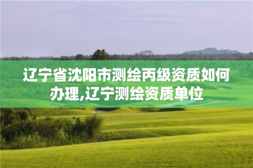 辽宁省沈阳市测绘丙级资质如何办理,辽宁测绘资质单位