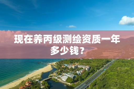 现在养丙级测绘资质一年多少钱？