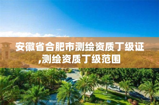 安徽省合肥市测绘资质丁级证,测绘资质丁级范围