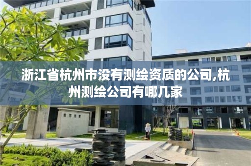 浙江省杭州市没有测绘资质的公司,杭州测绘公司有哪几家