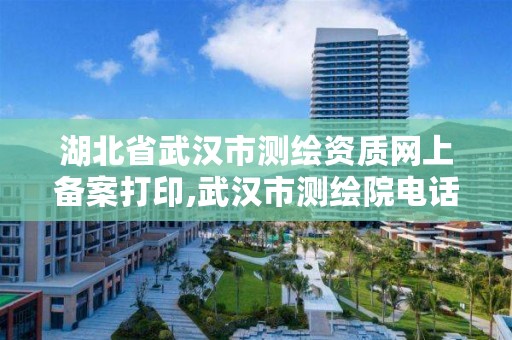湖北省武汉市测绘资质网上备案打印,武汉市测绘院电话
