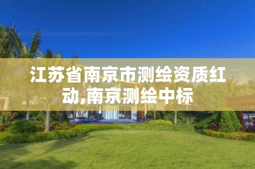 江苏省南京市测绘资质红动,南京测绘中标