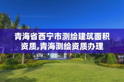 青海省西宁市测绘建筑面积资质,青海测绘资质办理