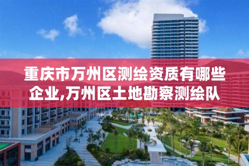 重庆市万州区测绘资质有哪些企业,万州区土地勘察测绘队