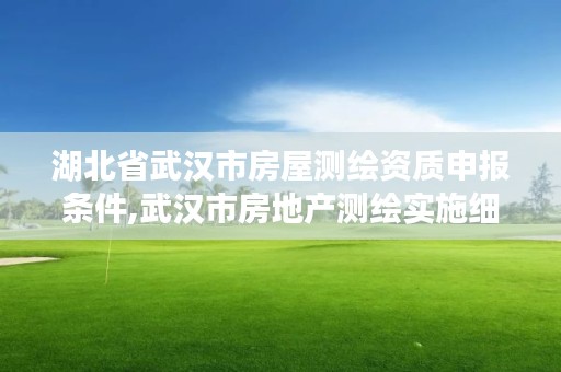 湖北省武汉市房屋测绘资质申报条件,武汉市房地产测绘实施细则