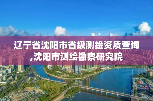 辽宁省沈阳市省级测绘资质查询,沈阳市测绘勘察研究院