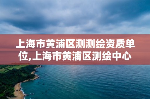 上海市黄浦区测测绘资质单位,上海市黄浦区测绘中心