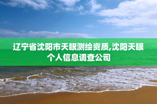 辽宁省沈阳市天眼测绘资质,沈阳天眼个人信息调查公司