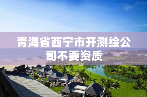 青海省西宁市开测绘公司不要资质