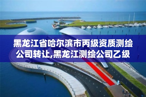 黑龙江省哈尔滨市丙级资质测绘公司转让,黑龙江测绘公司乙级资质