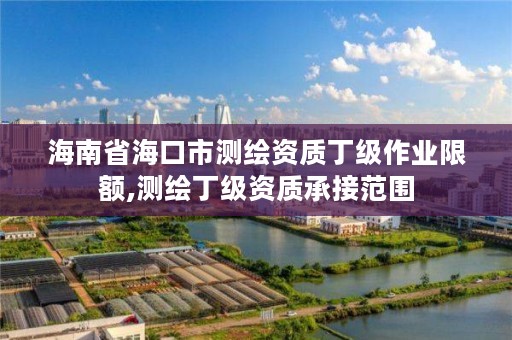 海南省海口市测绘资质丁级作业限额,测绘丁级资质承接范围