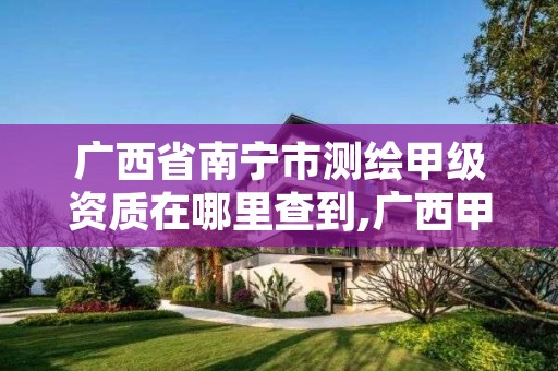 广西省南宁市测绘甲级资质在哪里查到,广西甲级测绘资质单位
