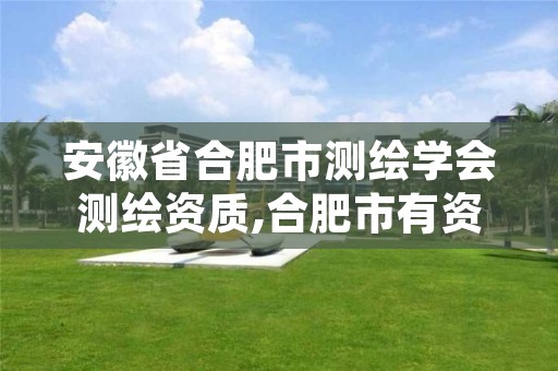 安徽省合肥市测绘学会测绘资质,合肥市有资质的测绘公司
