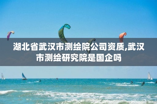 湖北省武汉市测绘院公司资质,武汉市测绘研究院是国企吗