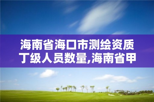 海南省海口市测绘资质丁级人员数量,海南省甲级测绘单位