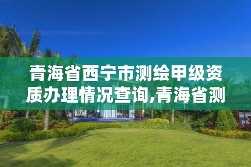 青海省西宁市测绘甲级资质办理情况查询,青海省测绘资质延期公告