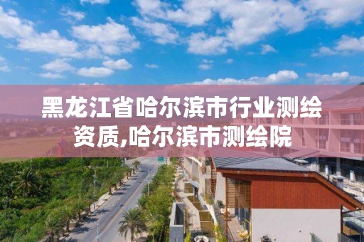 黑龙江省哈尔滨市行业测绘资质,哈尔滨市测绘院