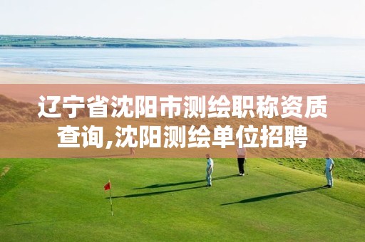 辽宁省沈阳市测绘职称资质查询,沈阳测绘单位招聘