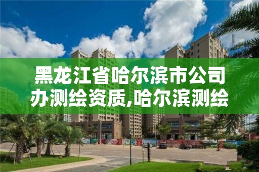 黑龙江省哈尔滨市公司办测绘资质,哈尔滨测绘公司电话