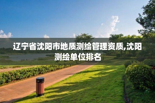 辽宁省沈阳市地质测绘管理资质,沈阳测绘单位排名