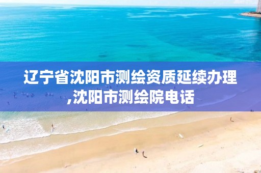 辽宁省沈阳市测绘资质延续办理,沈阳市测绘院电话