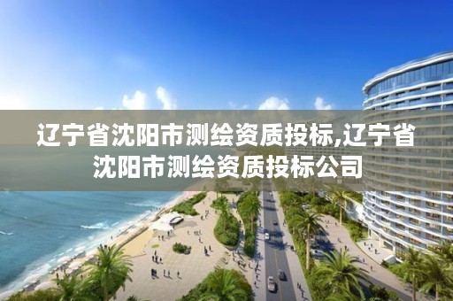 辽宁省沈阳市测绘资质投标,辽宁省沈阳市测绘资质投标公司