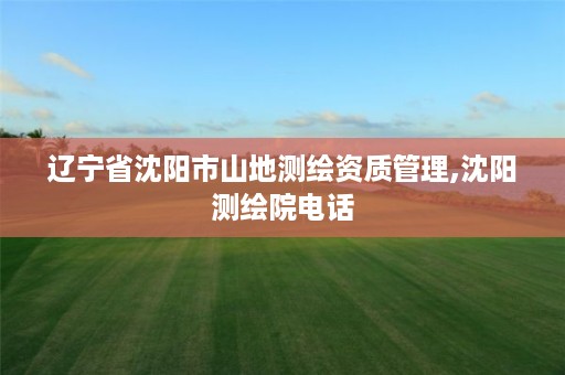 辽宁省沈阳市山地测绘资质管理,沈阳测绘院电话