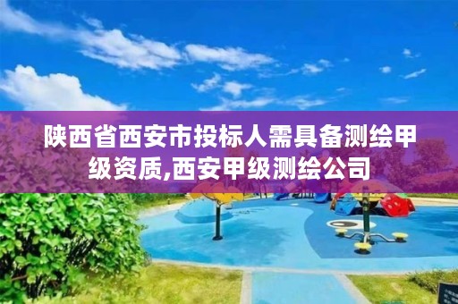 陕西省西安市投标人需具备测绘甲级资质,西安甲级测绘公司