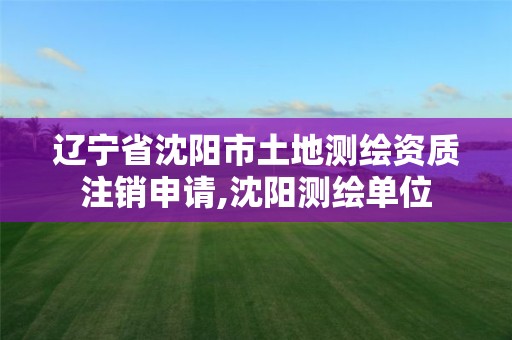 辽宁省沈阳市土地测绘资质注销申请,沈阳测绘单位