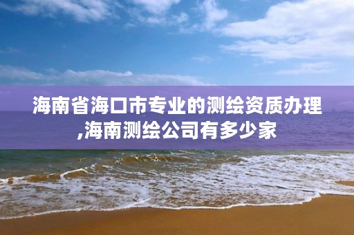 海南省海口市专业的测绘资质办理,海南测绘公司有多少家
