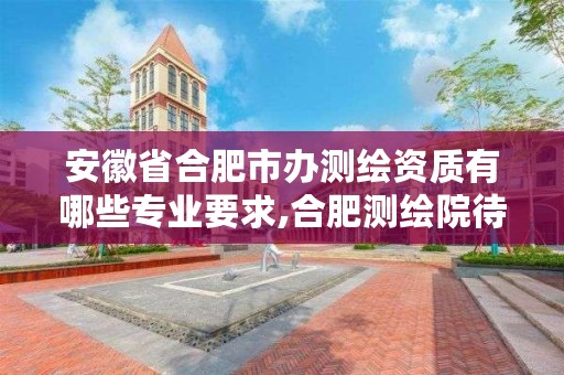 安徽省合肥市办测绘资质有哪些专业要求,合肥测绘院待遇怎么样
