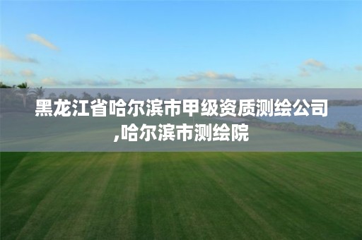 黑龙江省哈尔滨市甲级资质测绘公司,哈尔滨市测绘院