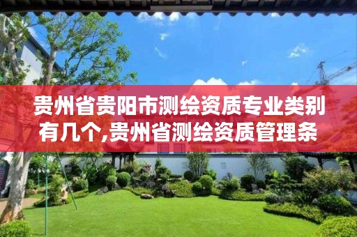贵州省贵阳市测绘资质专业类别有几个,贵州省测绘资质管理条例