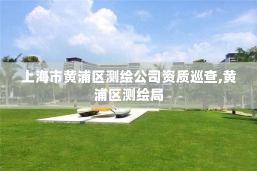 上海市黄浦区测绘公司资质巡查,黄浦区测绘局