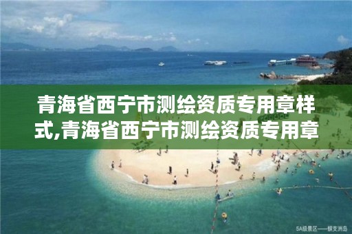 青海省西宁市测绘资质专用章样式,青海省西宁市测绘资质专用章样式有哪些