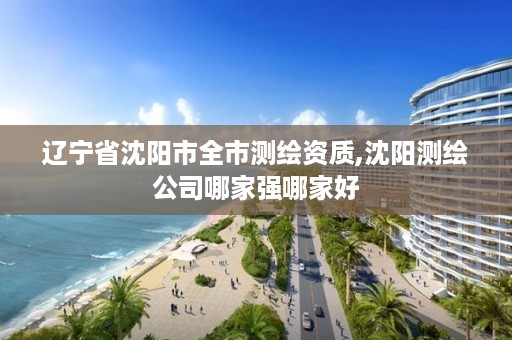 辽宁省沈阳市全市测绘资质,沈阳测绘公司哪家强哪家好